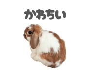 859325791