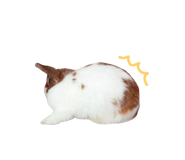 859325793