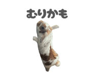 859325794