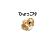 859325795