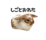 859325796