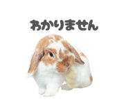 859325798