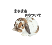 859325799