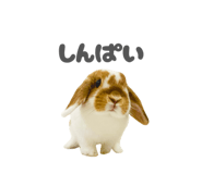 859325800