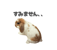 859325802
