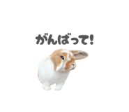 859325803