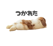 859325805