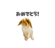 859325808