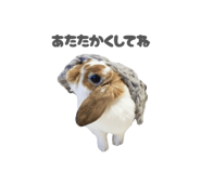 859325809