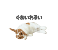 859325810
