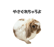 859325812