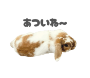 859325813