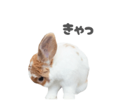 859325816