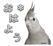 859326409