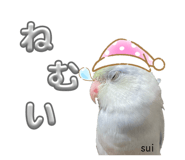 859326411