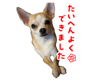 859326502