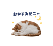 859326657