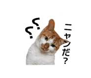 859326660