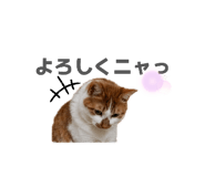 859326661