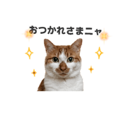 859326662