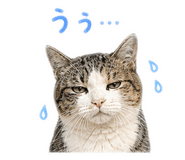 859326709