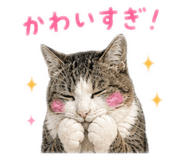859326720