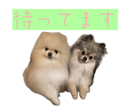 859326790