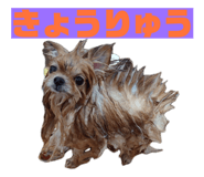 859326796