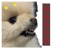 859326798