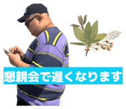859326824