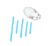 859326899