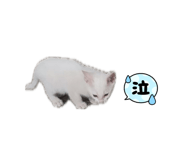 859326906