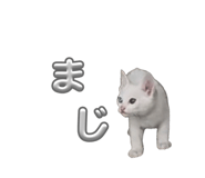 859326907