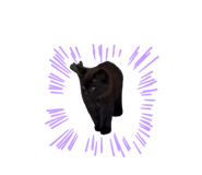 859326908
