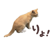 859326909