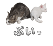 859326910