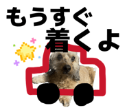 859326914