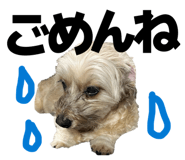 859326920