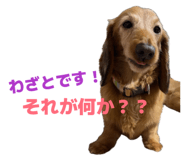 859327148