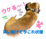 859327165