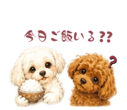 859327400