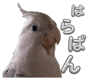 859327474
