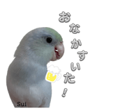 859327478