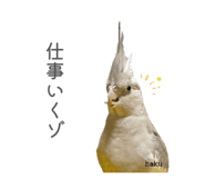 859327480