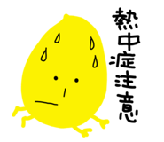 859327662
