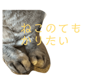 859327842
