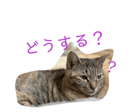859327846