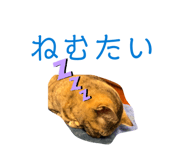 859327847