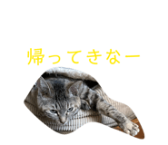 859327848
