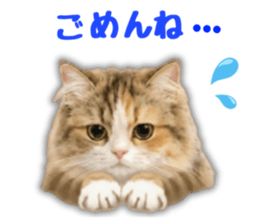 859328186